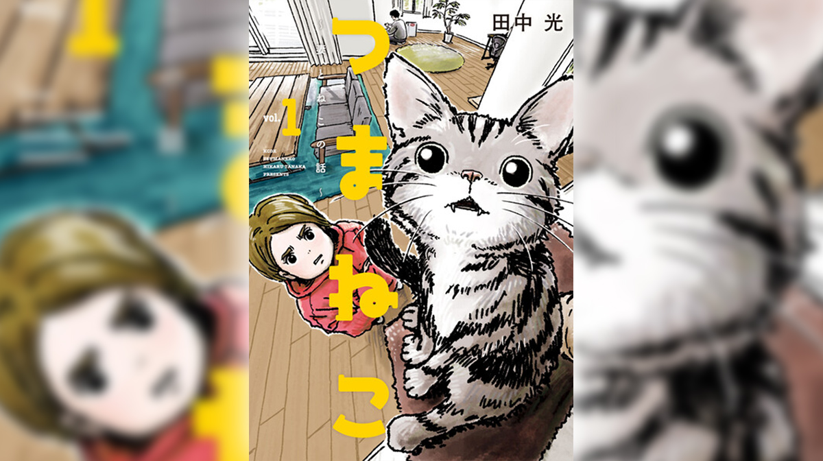 [ずっと見てたいこの日常] つまねこ～妻とねこの話～